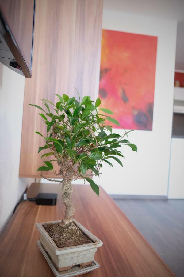 Apartment Von Betzenstein Markkleeberg Esterno foto